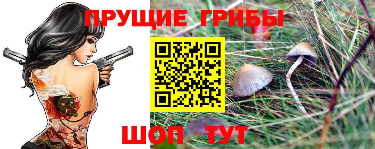 Псилоцибиновые грибы ЛСД  Вход с VPN  Энгельс 